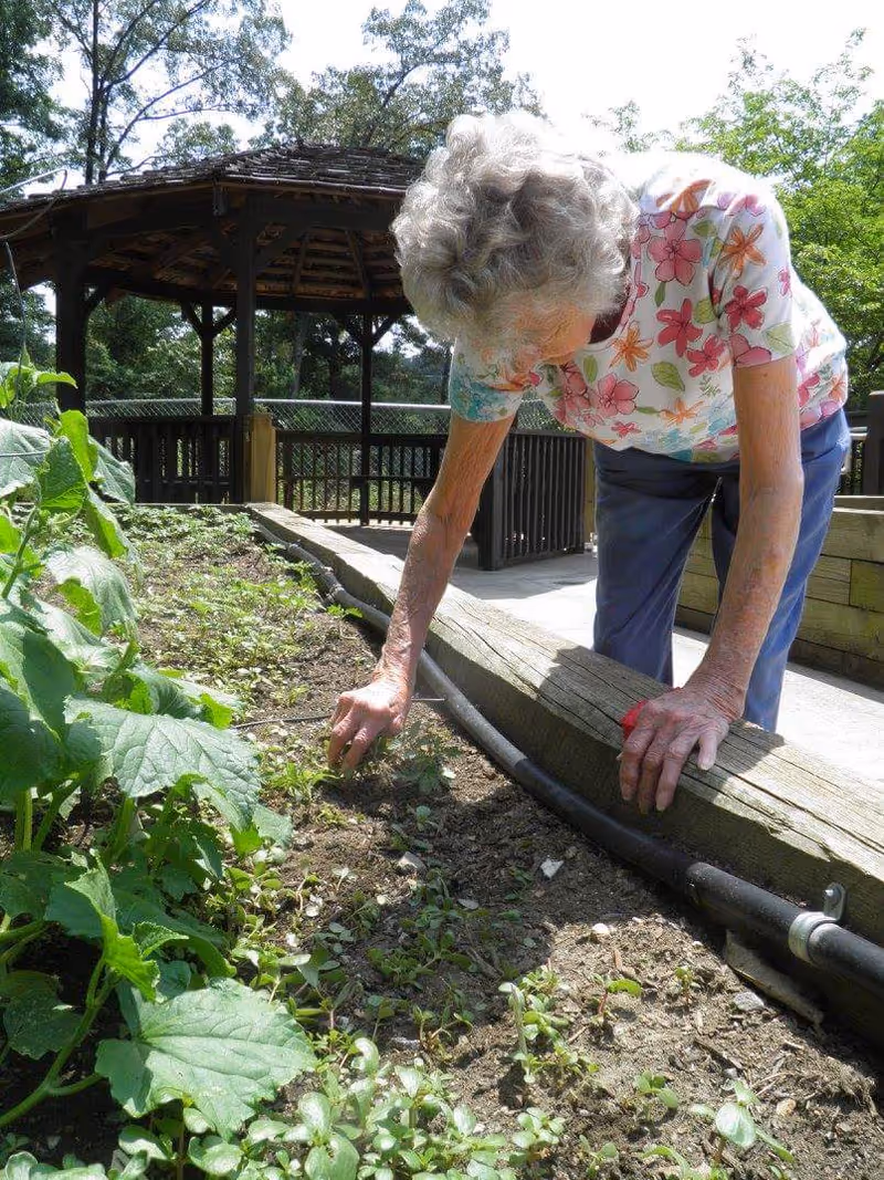 An elderly woman with curly gray hair wearing a floral shirt and blue pants is tending to plants in a garden bed. She is bending over, using her hand to touch the soil or plants. In the background, there is a wooden gazebo surrounded by trees and greenery.