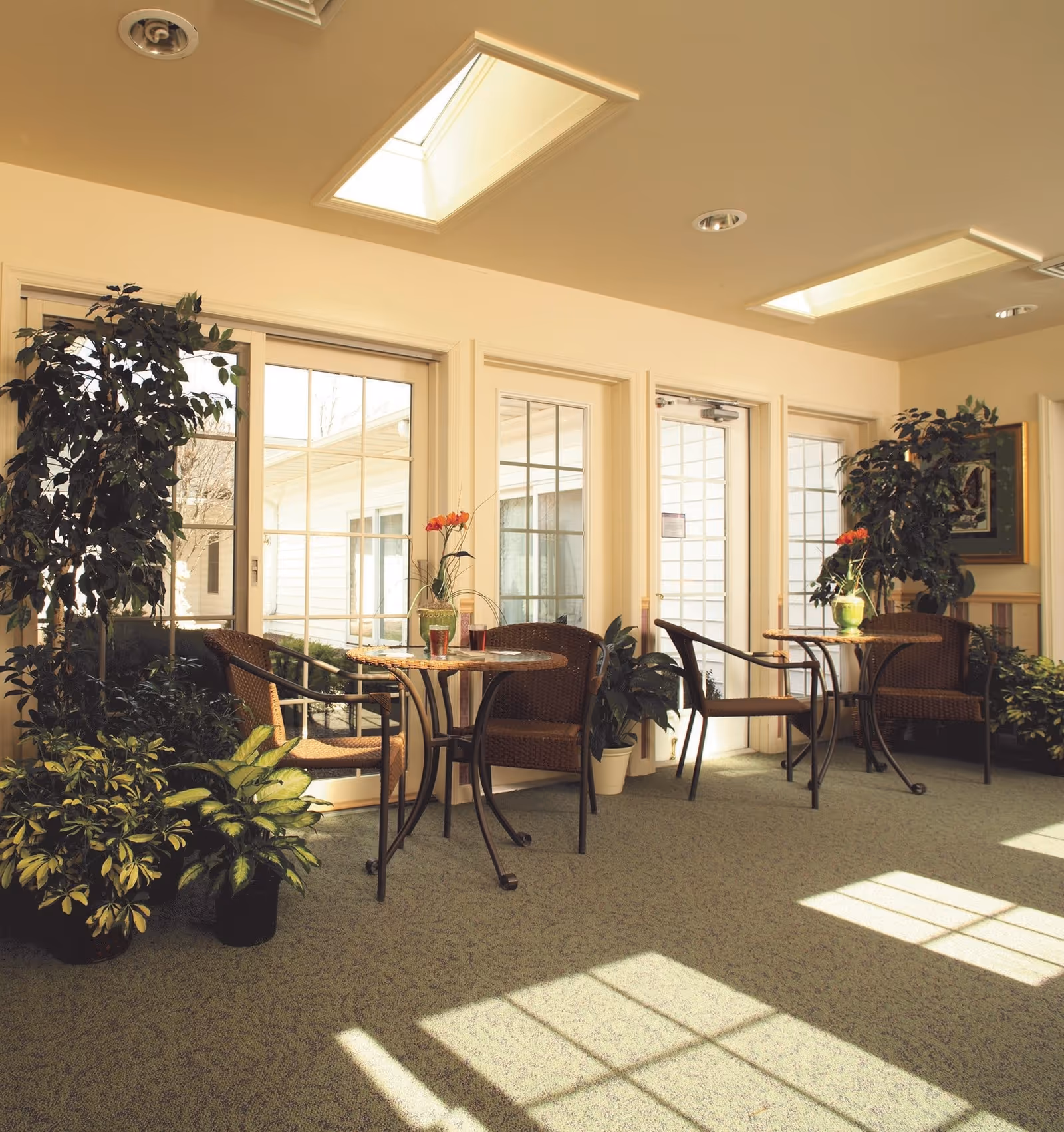 A bright indoor seating area with two small round tables, each accompanied by two wicker chairs. The space is decorated with several potted plants and flowers on the tables. Large windows and glass doors allow natural light to fill the room, casting shadows on the green carpeted floor. The ceiling has recessed lighting and skylights.