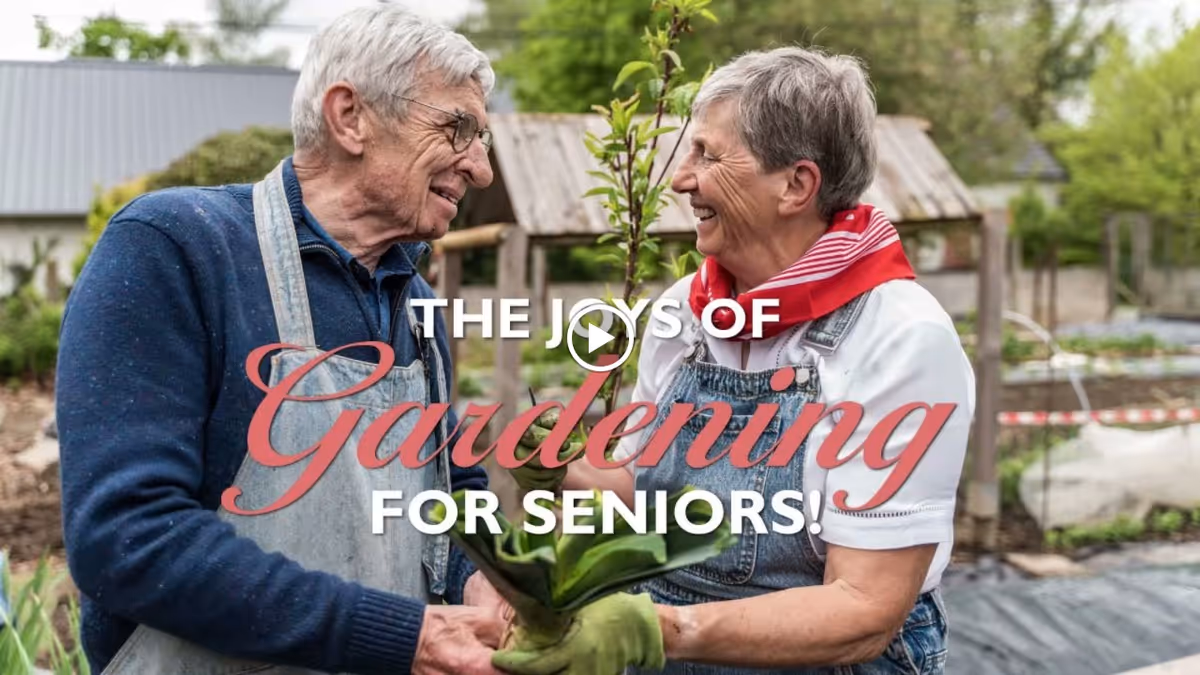 An elderly man and woman smiling and holding a small plant together in a garden setting, both wearing gardening gloves and casual outdoor clothing.