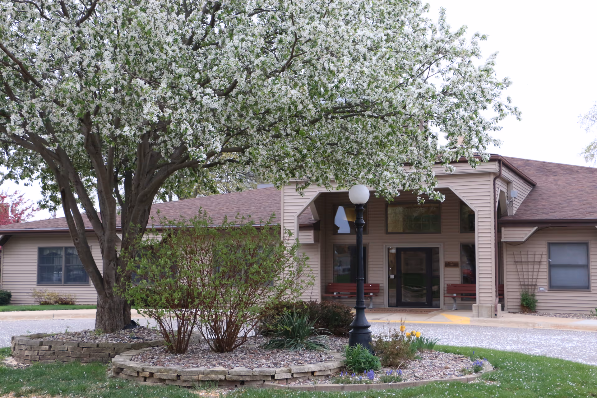 Entrance of a single-story senior living building framed by a blooming tree, lamp post, and landscaped circular planter.