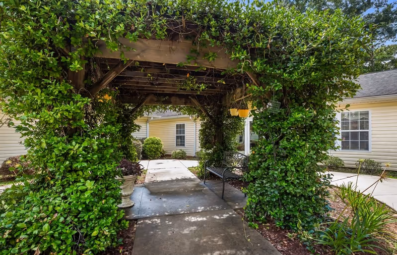 A vine-covered wooden pergola creates a shaded walkway with a bench and planters in a courtyard in front of light-colored buildings.