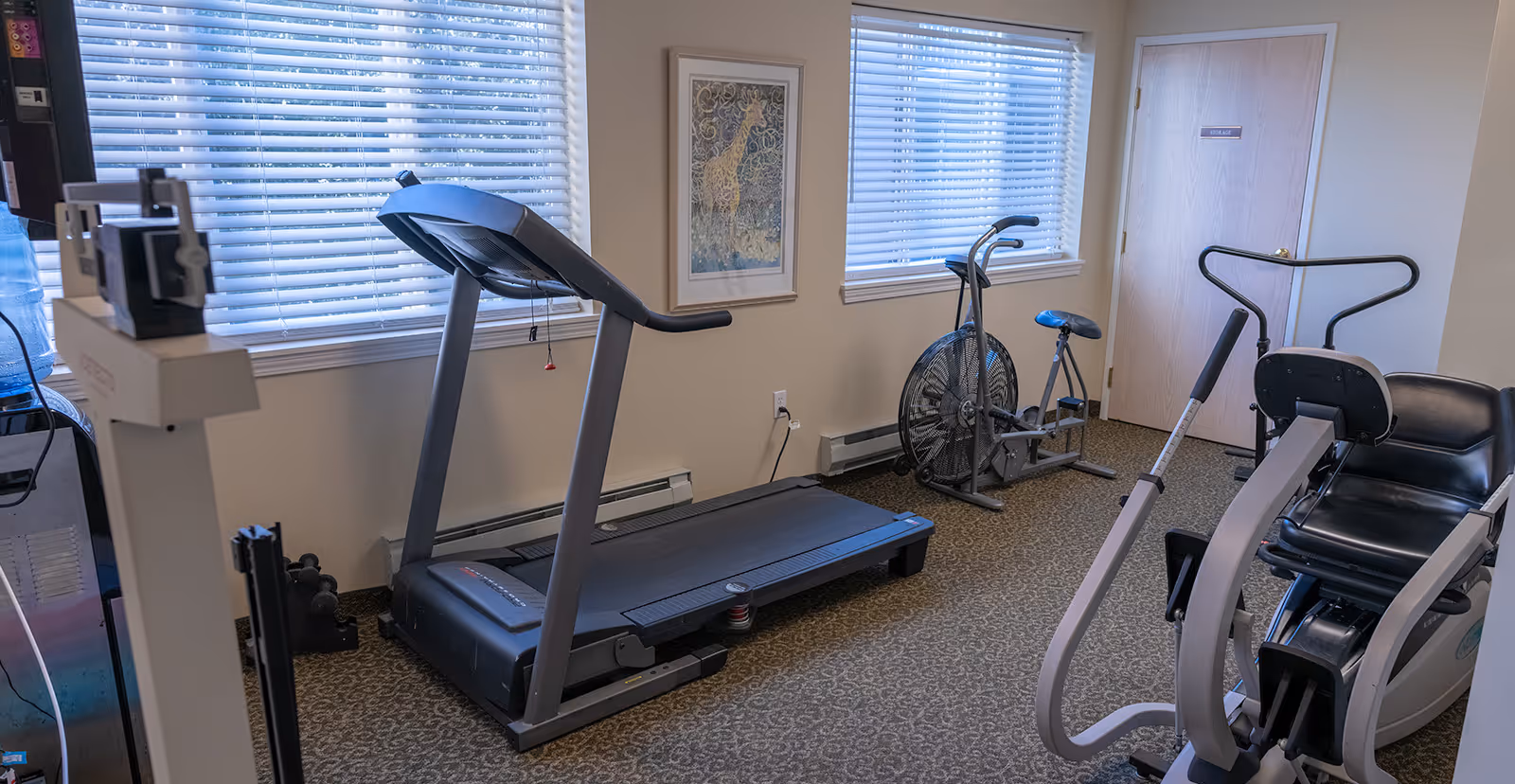 A small fitness room with exercise equipment including a treadmill, an air bike, and a recumbent exercise bike. The room has two windows with white blinds, a framed picture of a giraffe on the wall, and a door labeled 'Storage'. The floor is carpeted with a patterned design.