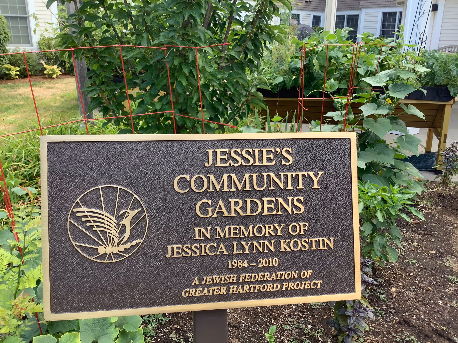 A bronze plaque in a garden area that reads 'Jessie's Community Gardens in memory of Jessica Lynn Kostin 1984-2010 A Jewish Federation of Greater Hartford Project'. The plaque is surrounded by green plants and garden beds with a building visible in the background.