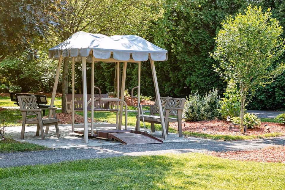 Outdoor seating area in a garden with a canopy-covered swing and several wooden chairs surrounded by green trees and shrubs on a sunny day.