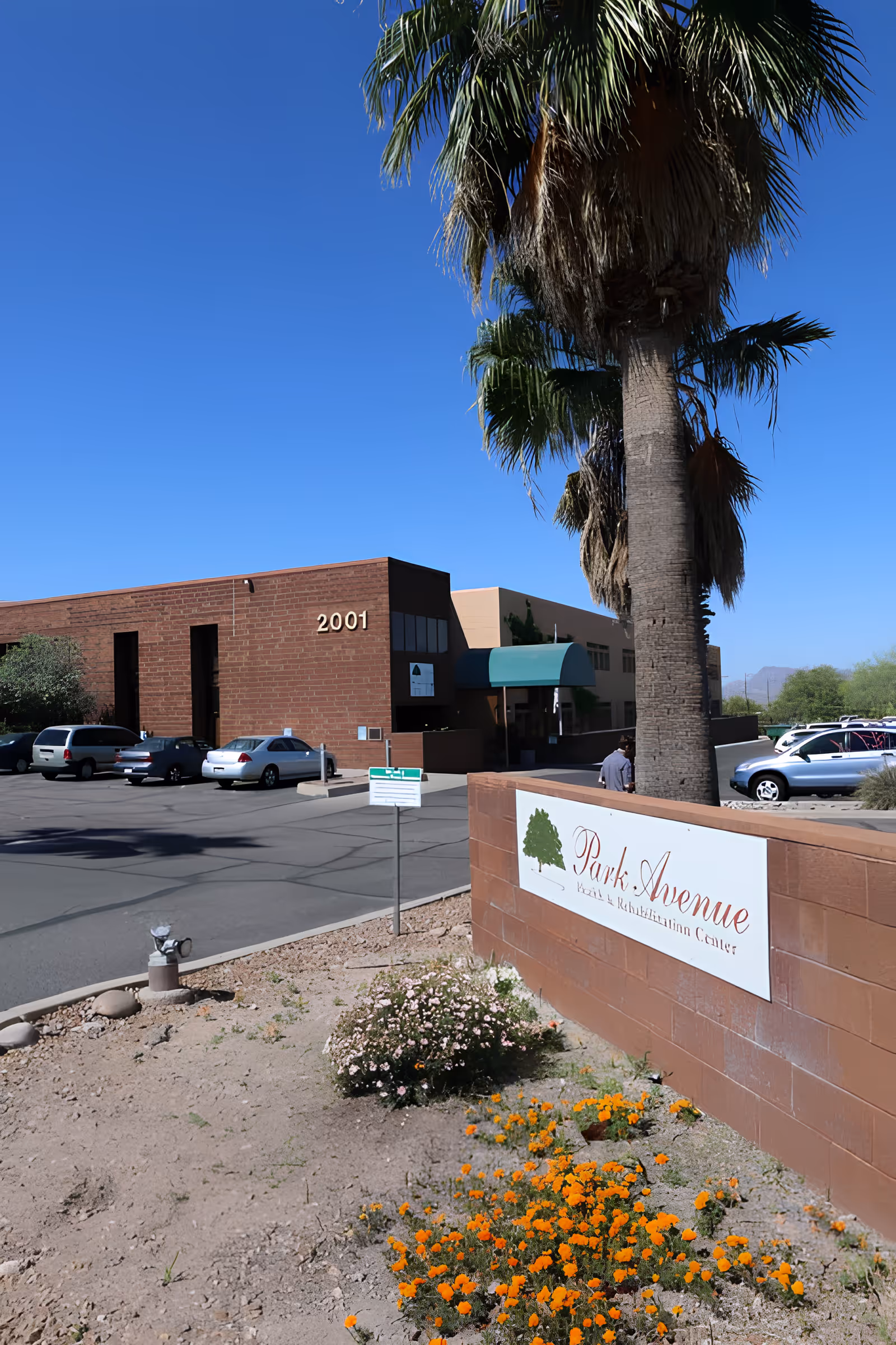 Exterior front of Park Avenue Health and Rehabilitation building showing its sign, parking lot, and a large palm tree.