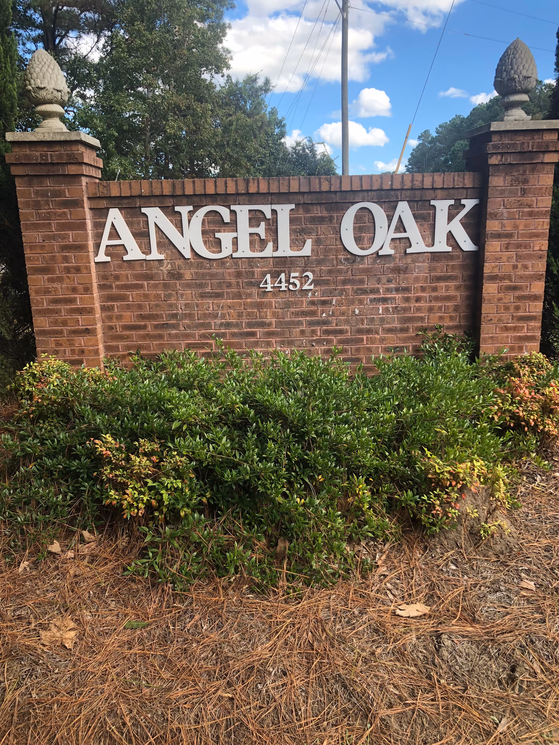 Brick entrance sign that reads "ANGEL OAK" with the address "4452" above shrubs and pine straw under a blue sky.