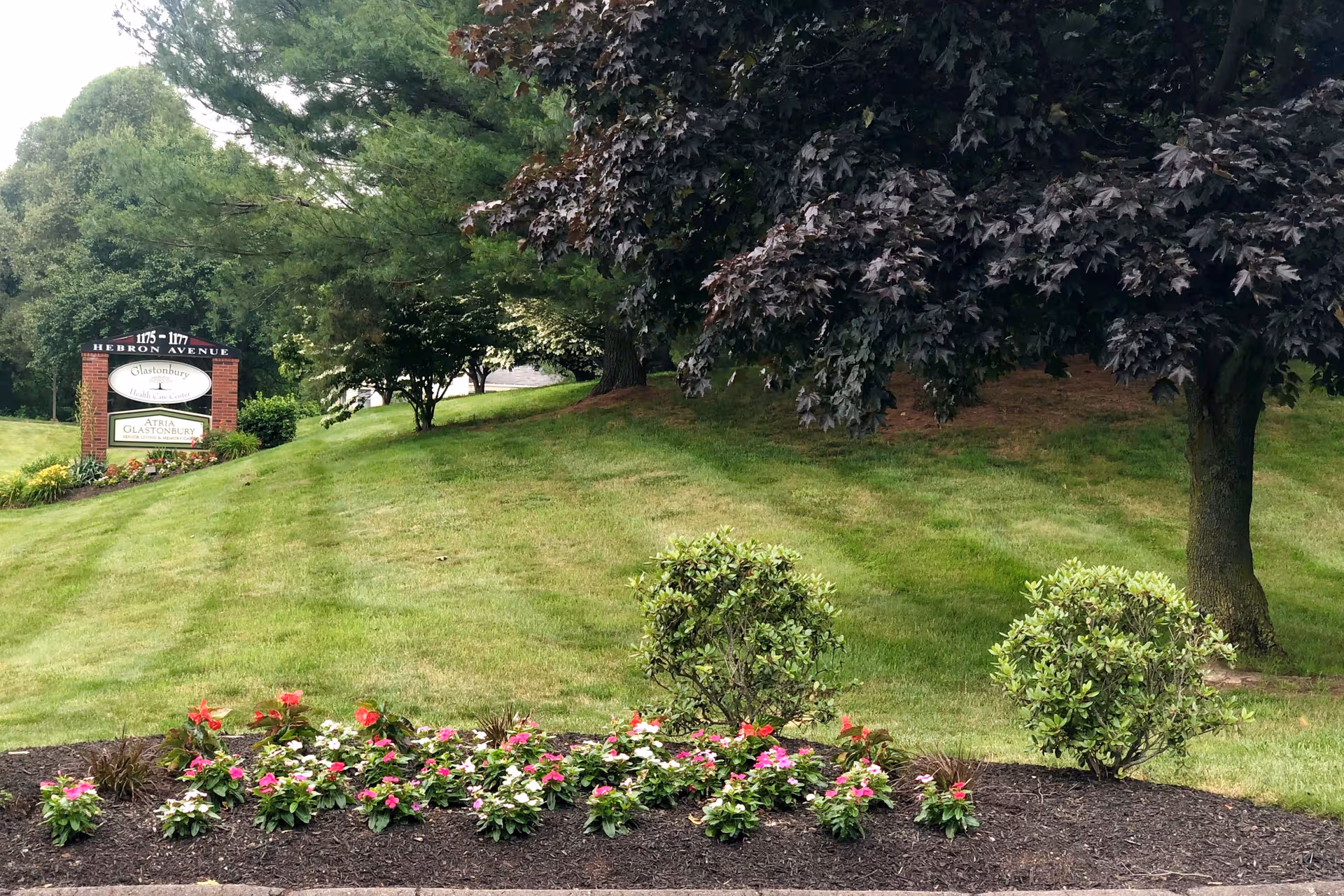 A landscaped outdoor area with a grassy hill, several trees, and a flower bed with pink, red, and white flowers in the foreground. A sign on the left side reads '1175-1177 Hebron Avenue' and 'Glastonbury Center for Health & Rehabilitation'.