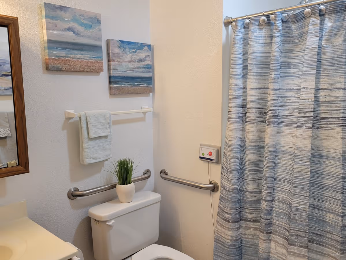 Small bathroom with a toilet topped by a potted plant, grab bars, a blue-striped shower curtain, towel rack, and seaside wall art.
