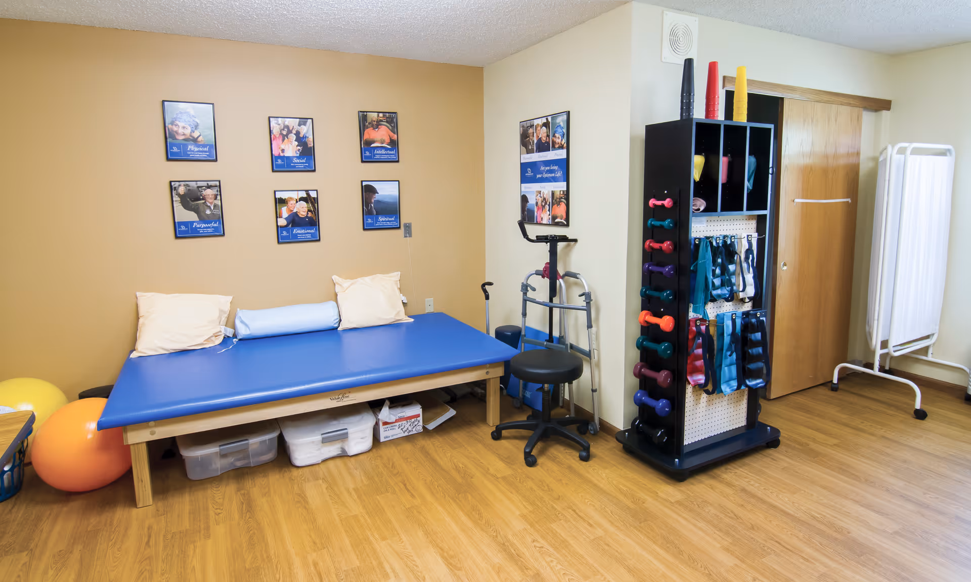 A bright therapy room with a blue treatment table, exercise balls, a rack of hand weights and resistance bands, and mobility aids.