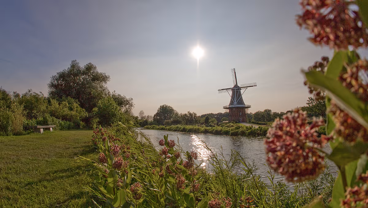 A scenic outdoor view featuring a river with sunlight reflecting on the water, lush green grass and bushes along the riverbank, a wooden bench on the left side, and a traditional windmill in the distance under a clear sky.