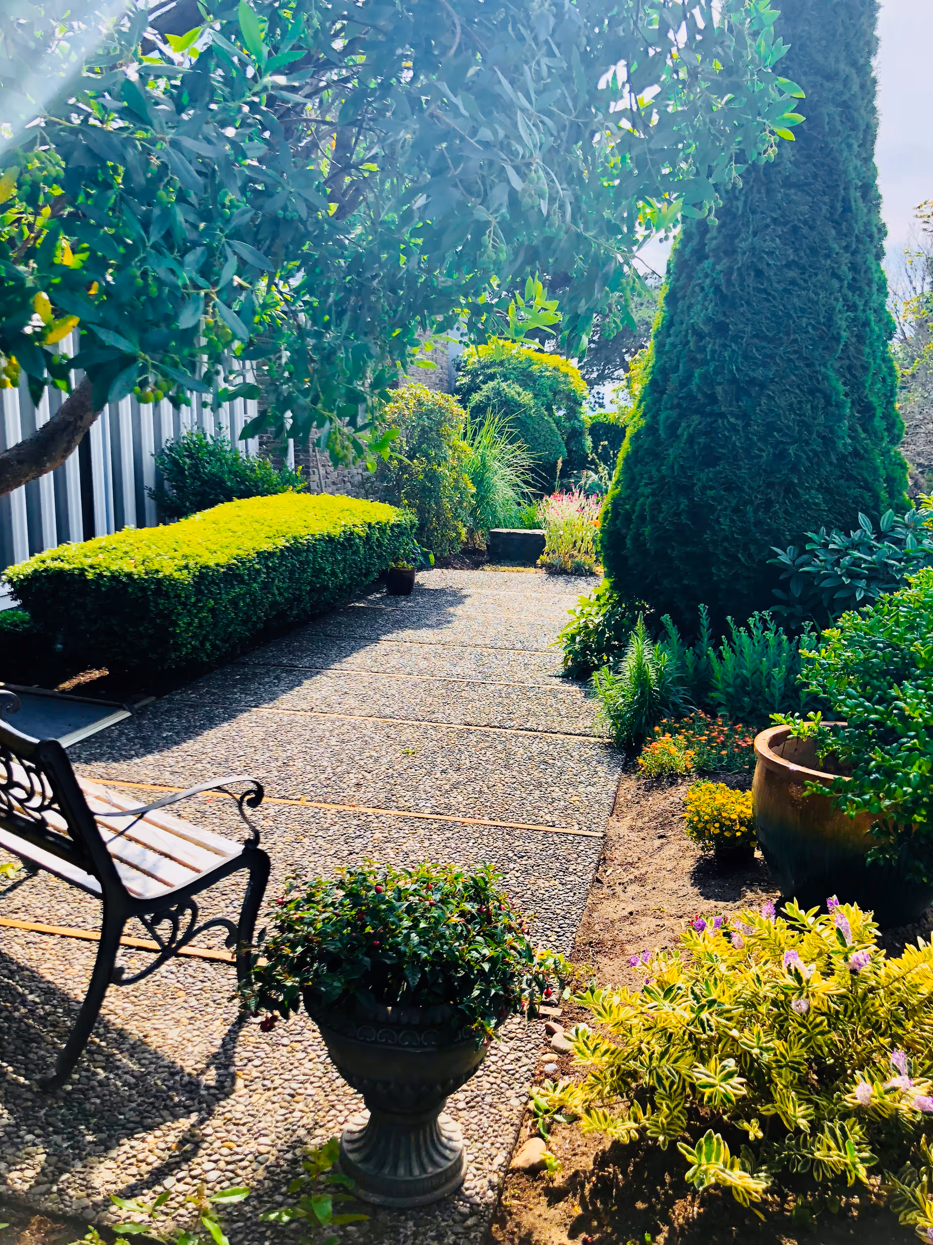 A sunny outdoor garden path lined with various green shrubs, bushes, and potted plants. There is a decorative metal bench on the left side of the path, and tall trees and plants provide shade and greenery throughout the area.