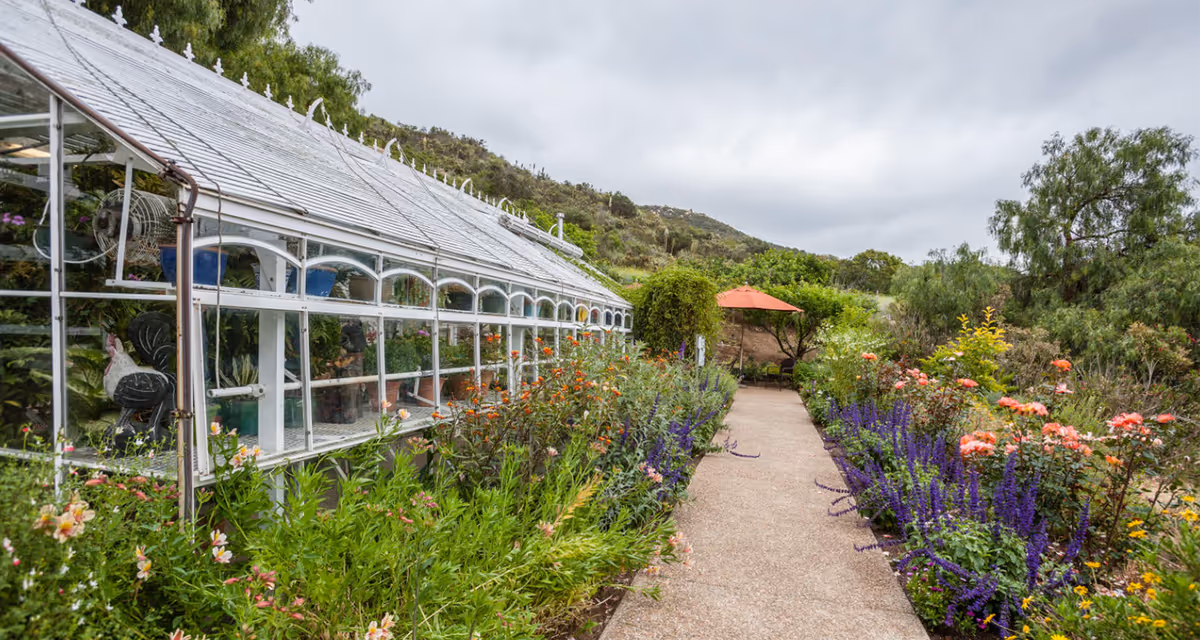 A garden pathway lined with colorful flowers and plants on both sides, leading to a seating area with an orange umbrella. On the left side of the path, there is a glass greenhouse structure with various plants inside. The background shows a hillside with trees and cloudy sky.