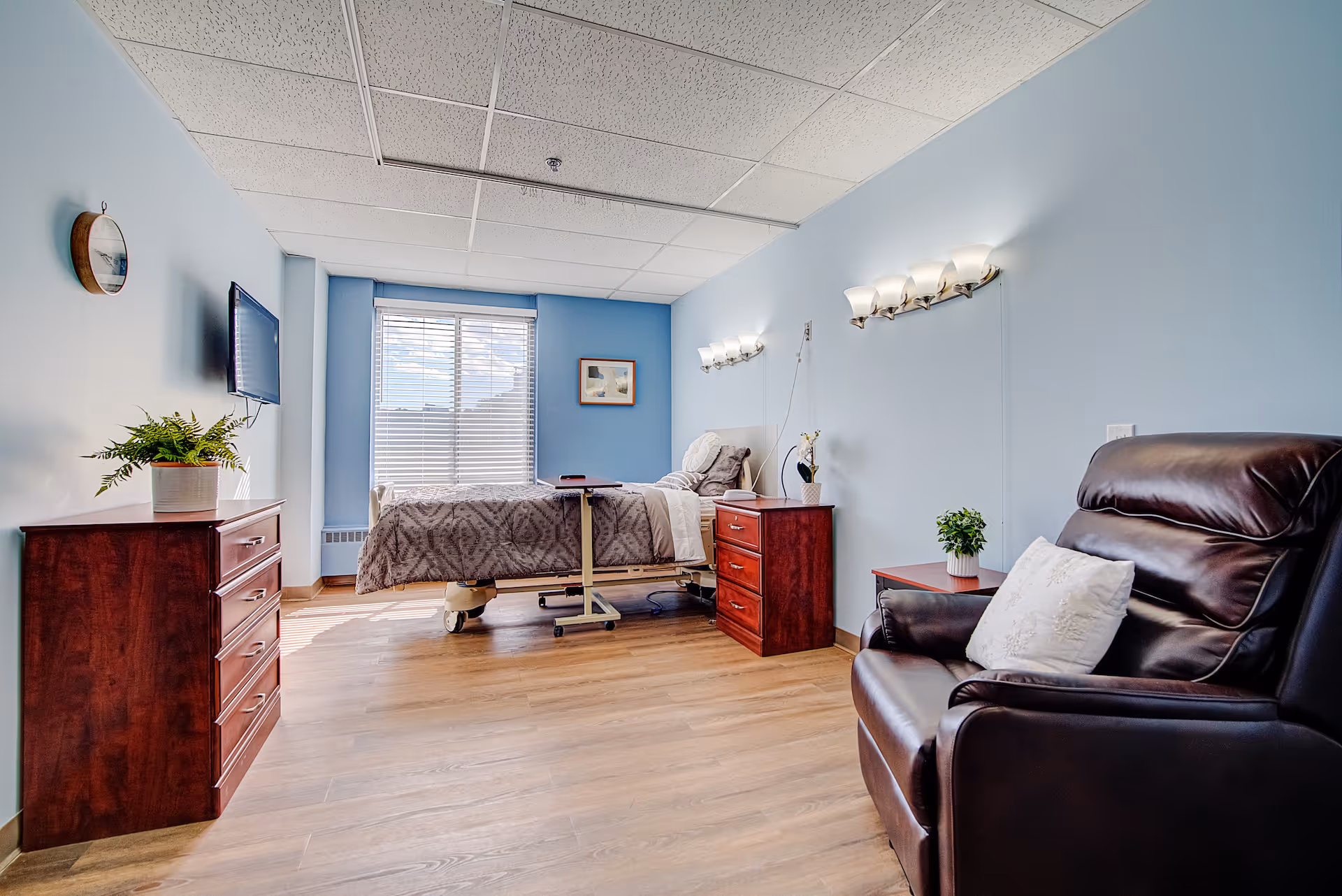 A bright and clean senior living bedroom with light blue walls, a hospital-style bed with gray bedding, a wooden dresser with a potted plant, a wall-mounted TV, a leather recliner chair with a white pillow, and two bedside tables with plants and lamps. A window with blinds lets in natural light.