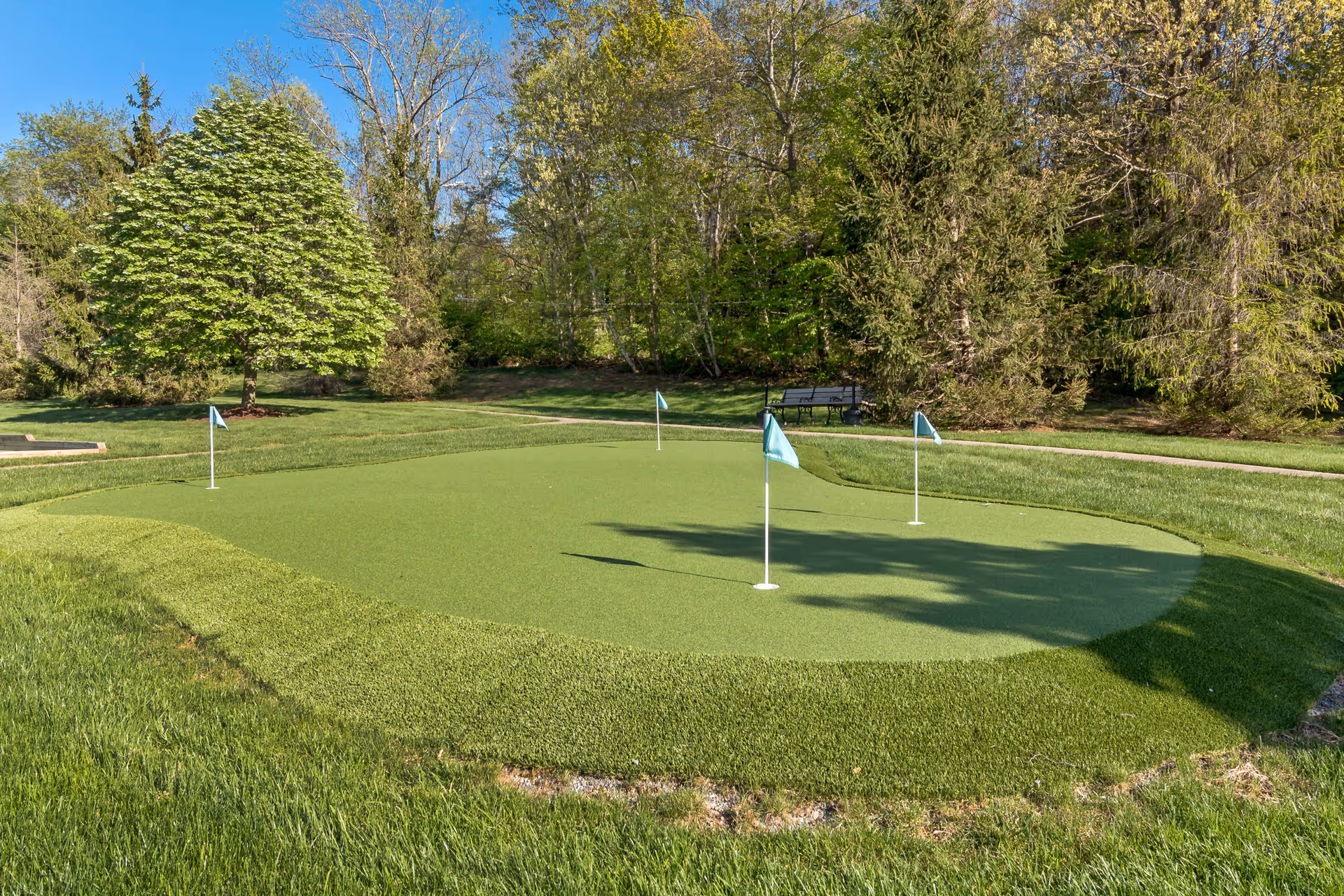A small outdoor putting green with four blue flags on poles, surrounded by well-maintained grass and trees in the background under a clear blue sky.