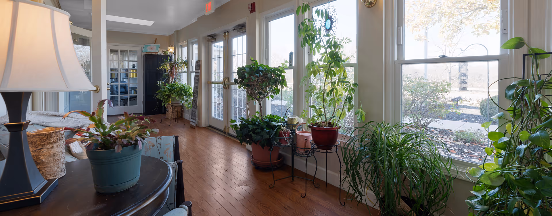 A bright indoor hallway with large windows on one side letting in natural light. The floor is wooden, and there are several potted plants placed along the windows and on small stands. A table with a lamp and another plant is visible on the left side. The hallway leads to a door and another room in the background.