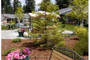 Outdoor garden area with a variety of green trees and plants, a wooden bench in the foreground, and a paved walkway. There are also flower pots with pink flowers and a building visible in the background under a clear sky.