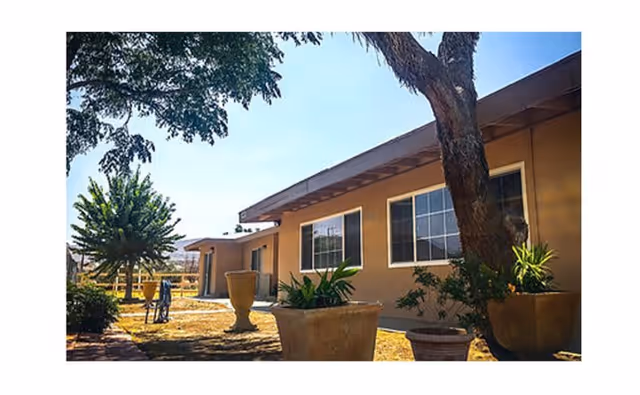 Exterior view of a single-story building with large windows, surrounded by potted plants and trees under a clear blue sky.