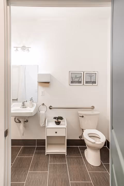 A clean and simple bathroom with a white toilet, a white sink with a mirror above it, a small white cabinet with a potted plant on top, a towel ring with a white towel, and two framed pictures on the wall. The floor is covered with brown tiles and there is a metal grab bar installed on the wall next to the toilet.