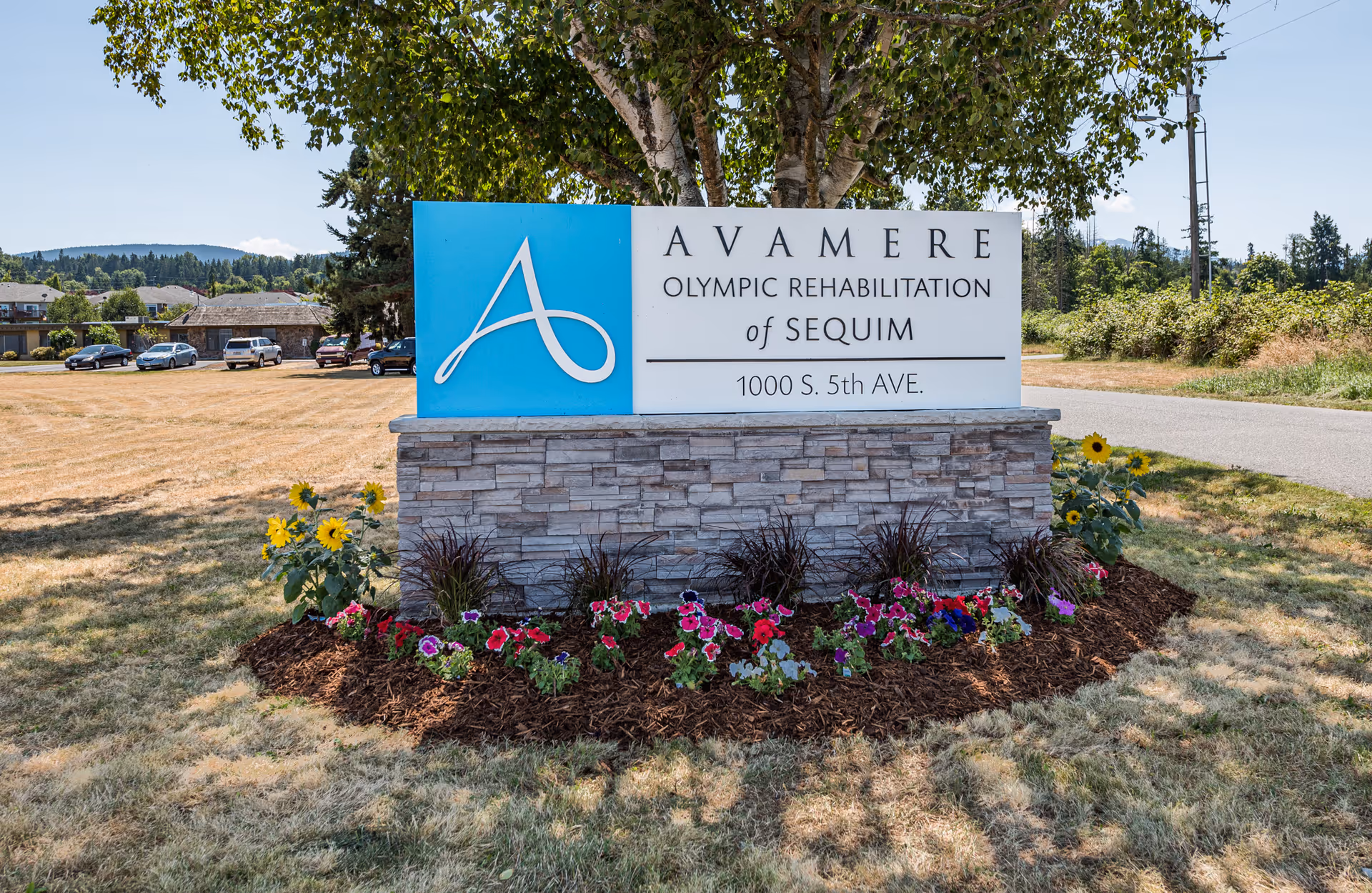 A stone and concrete sign for Avamere Olympic Rehabilitation of Sequim located at 1000 S. 5th Ave, surrounded by a flower bed with colorful flowers and green plants, with a grassy area and parked cars in the background under a clear blue sky.