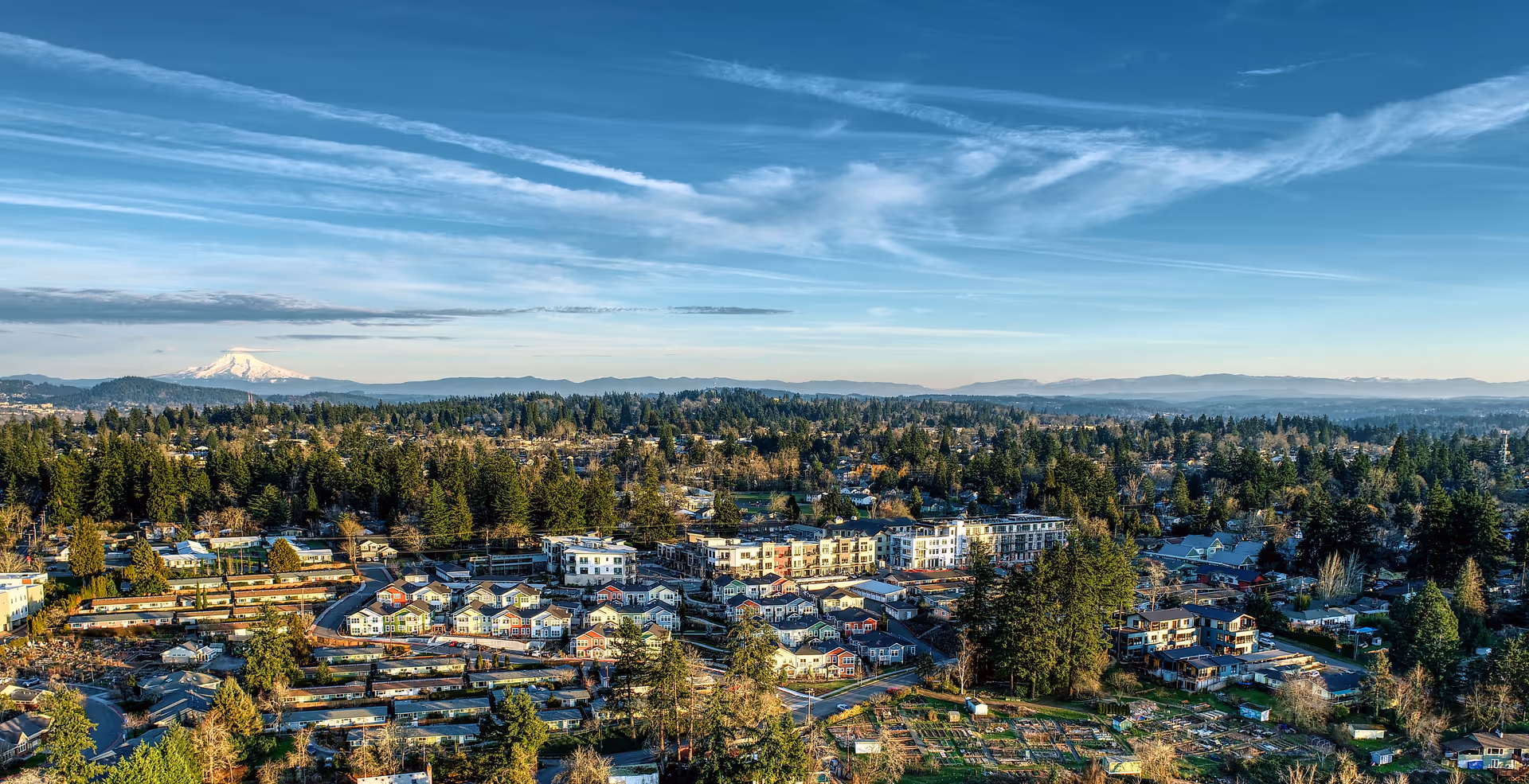 Aerial view of a suburban area with numerous houses, trees, and a distant snow-capped mountain under a blue sky with scattered clouds.