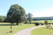 A paved walking path winding through a green lawn with trees and shrubs under a clear blue sky in an outdoor garden or park area.