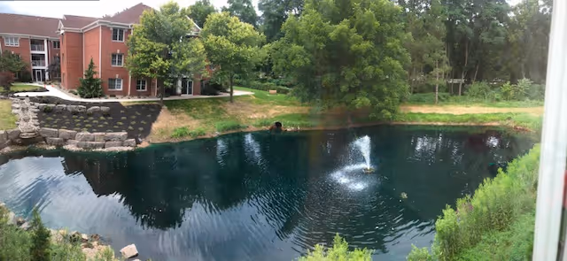 A serene outdoor scene featuring a small pond with a fountain in the center, surrounded by lush green trees and grass. In the background, there is a multi-story brick building partially visible on the left side.