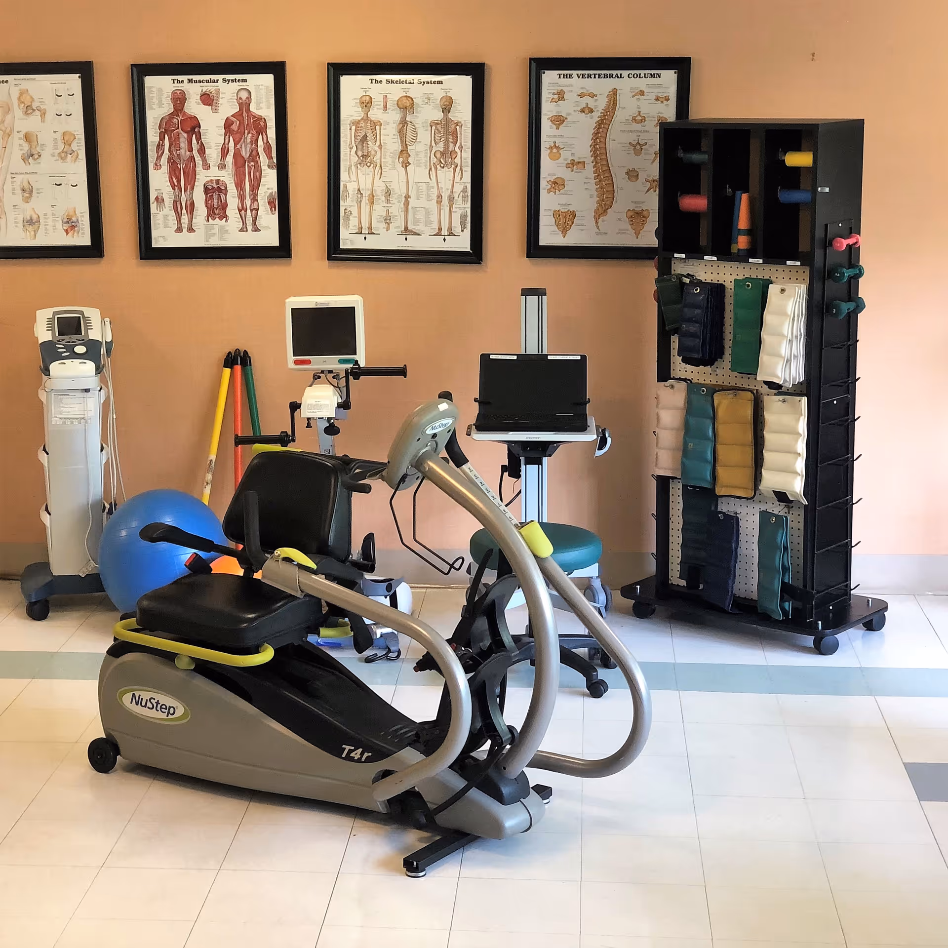 A rehabilitation room with exercise equipment including a NuStep T4r recumbent cross trainer, a blue exercise ball, and various medical devices. On the wall are framed anatomical charts showing the muscular system, skeletal system, and vertebral column. There is also a black storage rack holding colorful therapy weights and equipment.