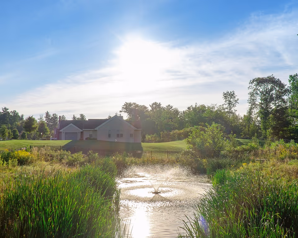 A scenic outdoor view featuring a small pond with a water fountain in the foreground, surrounded by tall green grasses and plants. In the background, there is a single-story house with a garage, set against a backdrop of trees and a bright sun shining in a partly cloudy sky.