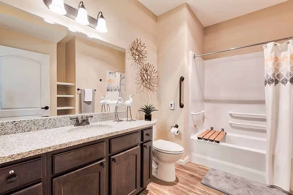 A clean and modern bathroom featuring a granite countertop with dark wooden cabinets, a large mirror with three light fixtures above it, a white toilet, and a bathtub with a shower curtain. The bathtub has a built-in seat and grab bars for accessibility. The floor has wood-like tiles, and there are decorative wall hangings and a small plant on the countertop.