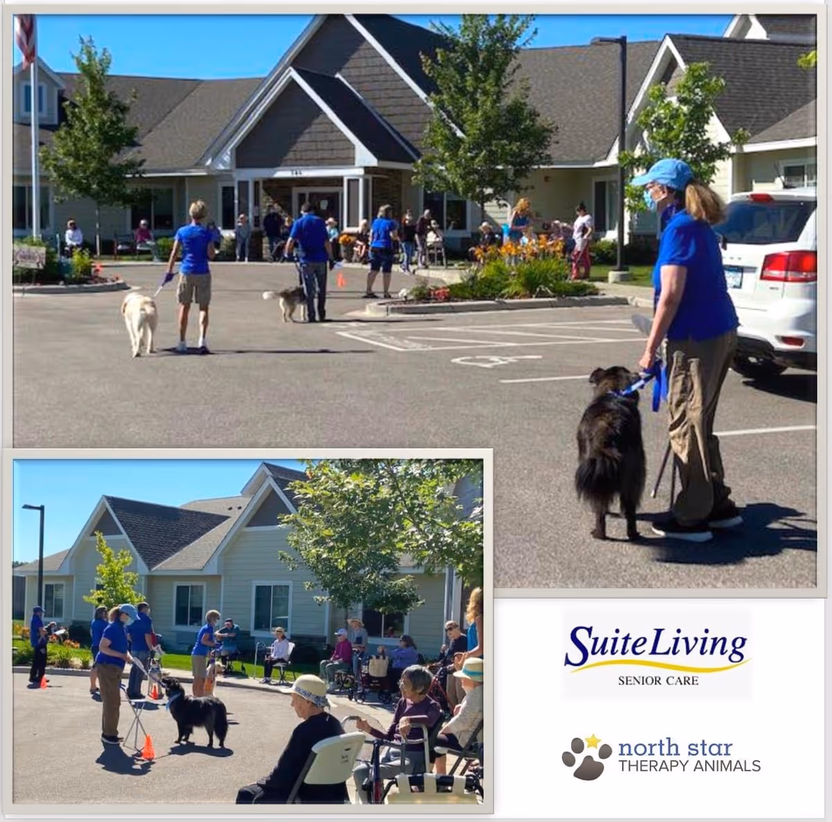 Staff, residents and therapy dogs gathered outside the front entrance of a senior living facility during an outdoor activity.