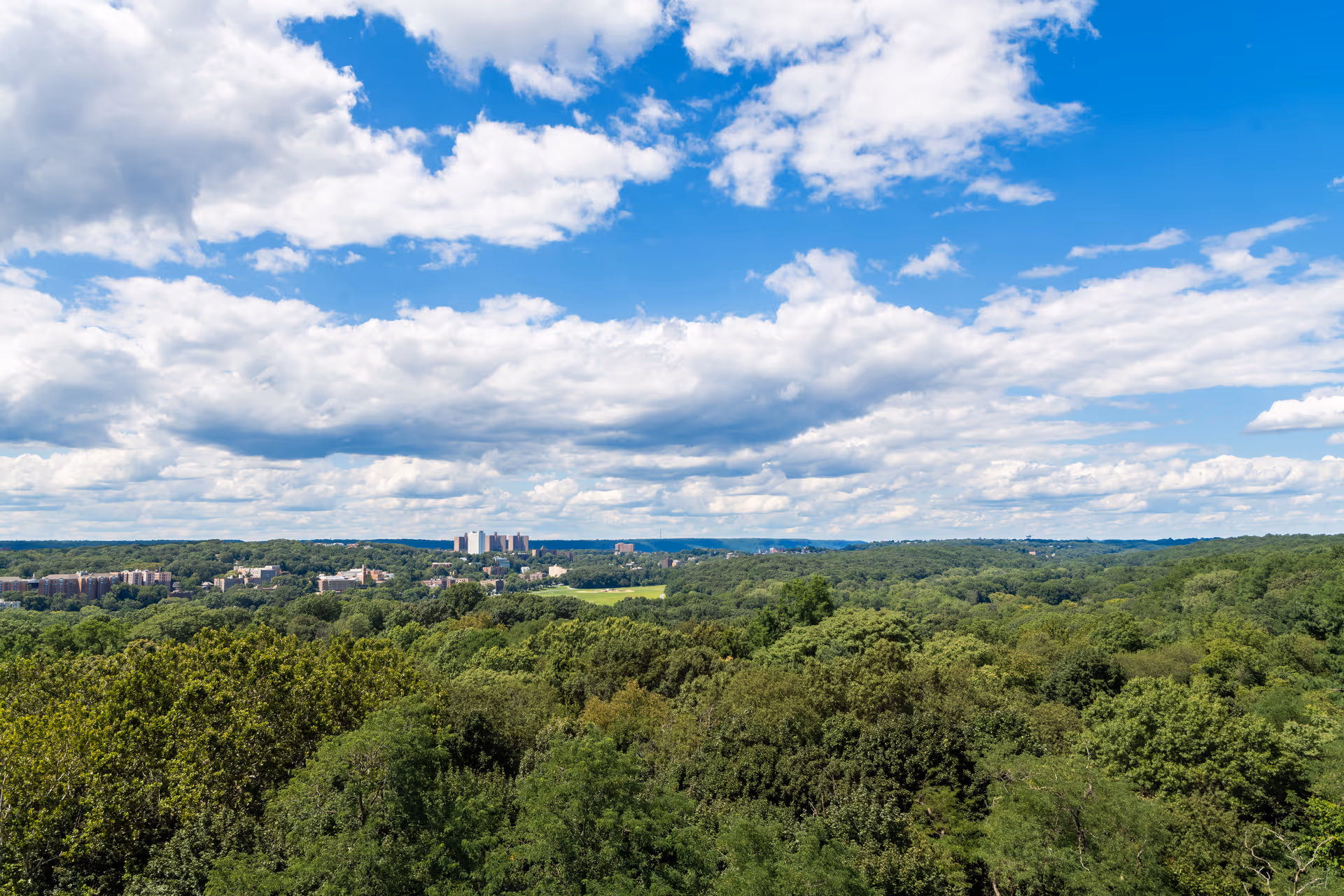 A wide view of a lush green forest with a partly cloudy blue sky above. In the distance, there are buildings visible on the horizon beyond the trees.