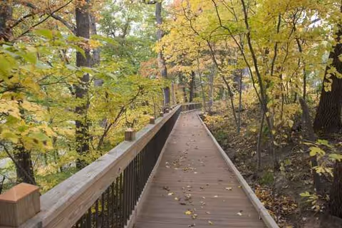 Wooden boardwalk winds through an autumn forest with colorful trees and fallen leaves.