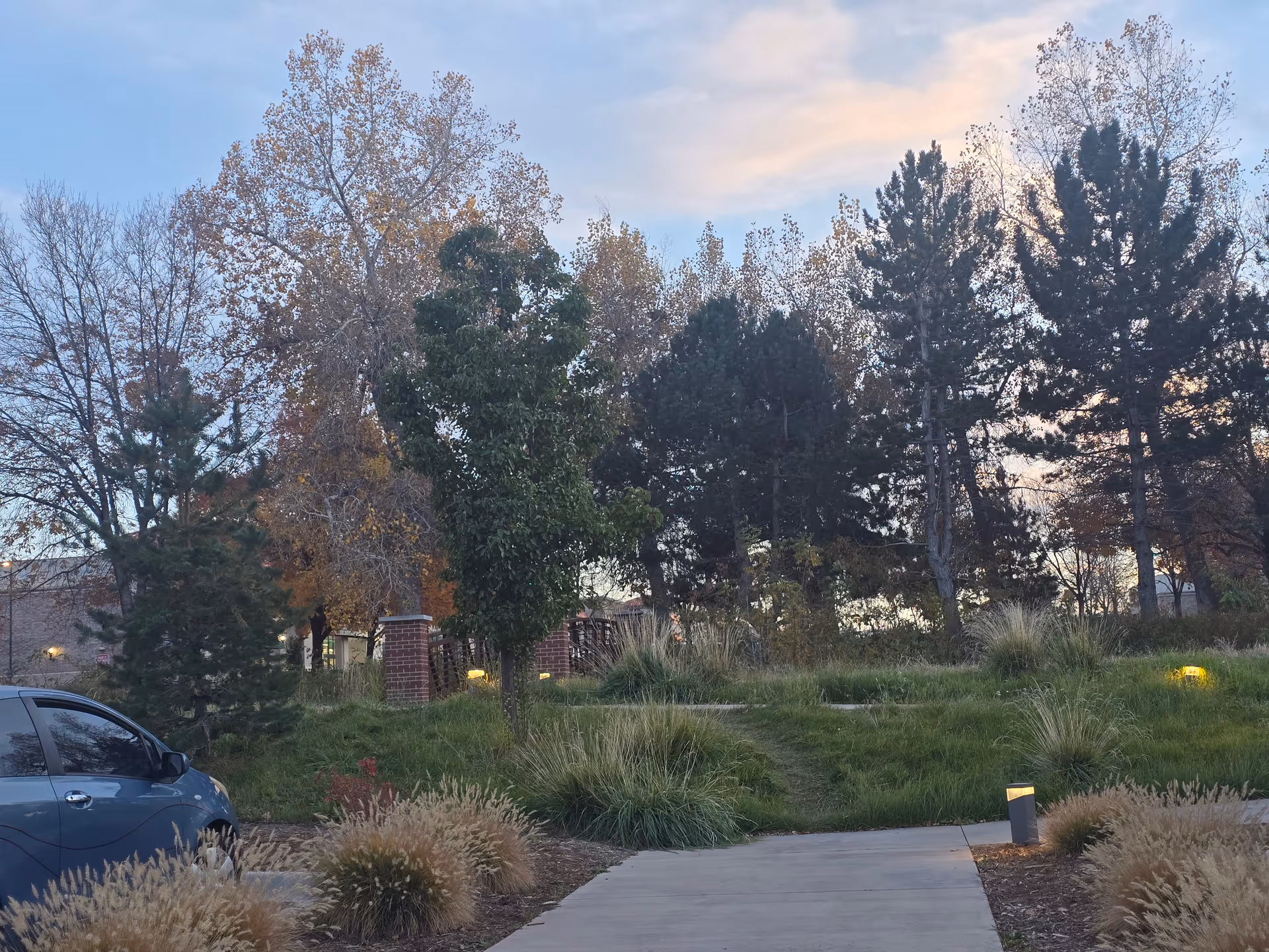 Concrete walkway leading through landscaped grassy grounds and trees with a parked car at dusk.