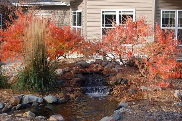 A landscaped outdoor area with a small cascading water feature surrounded by rocks, ornamental grasses, and trees with red autumn leaves in front of a beige building with white-framed windows.