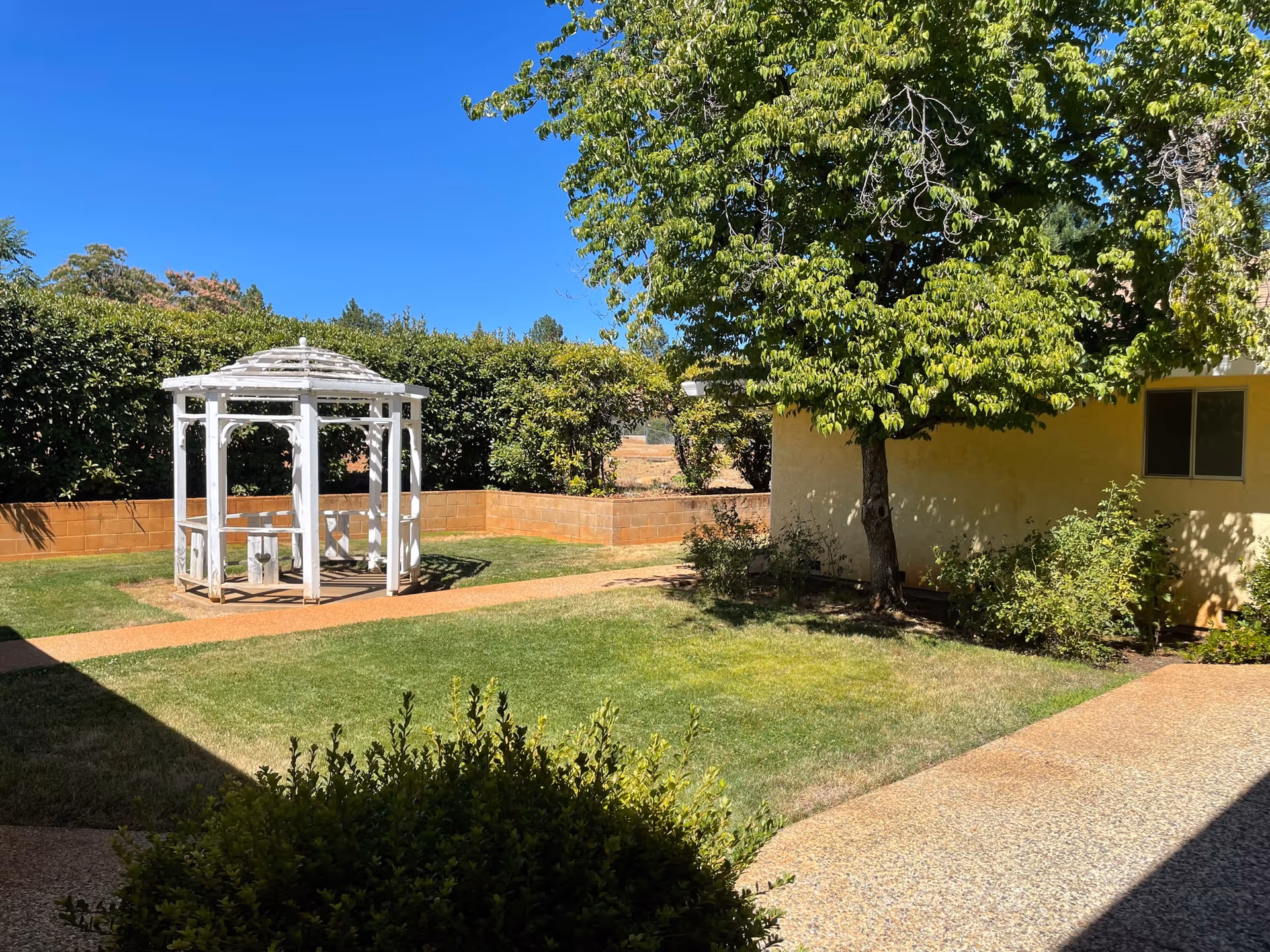Sunny courtyard with a white gazebo on a grassy lawn, a tree, pathways and a nearby building.