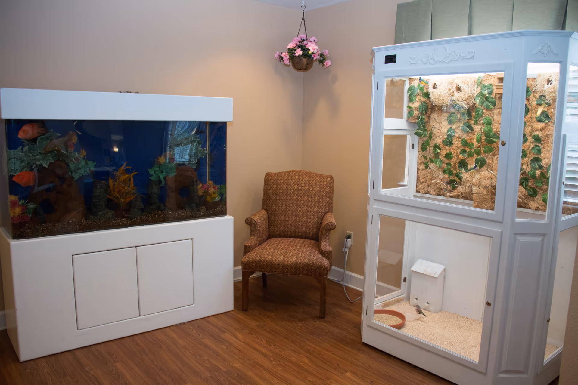 A cozy corner of a room featuring a large fish tank on the left, a patterned armchair in the center, and a white birdcage with green foliage and small birds inside on the right. A hanging basket with pink flowers is suspended above the chair against a beige wall, and the floor is wood.