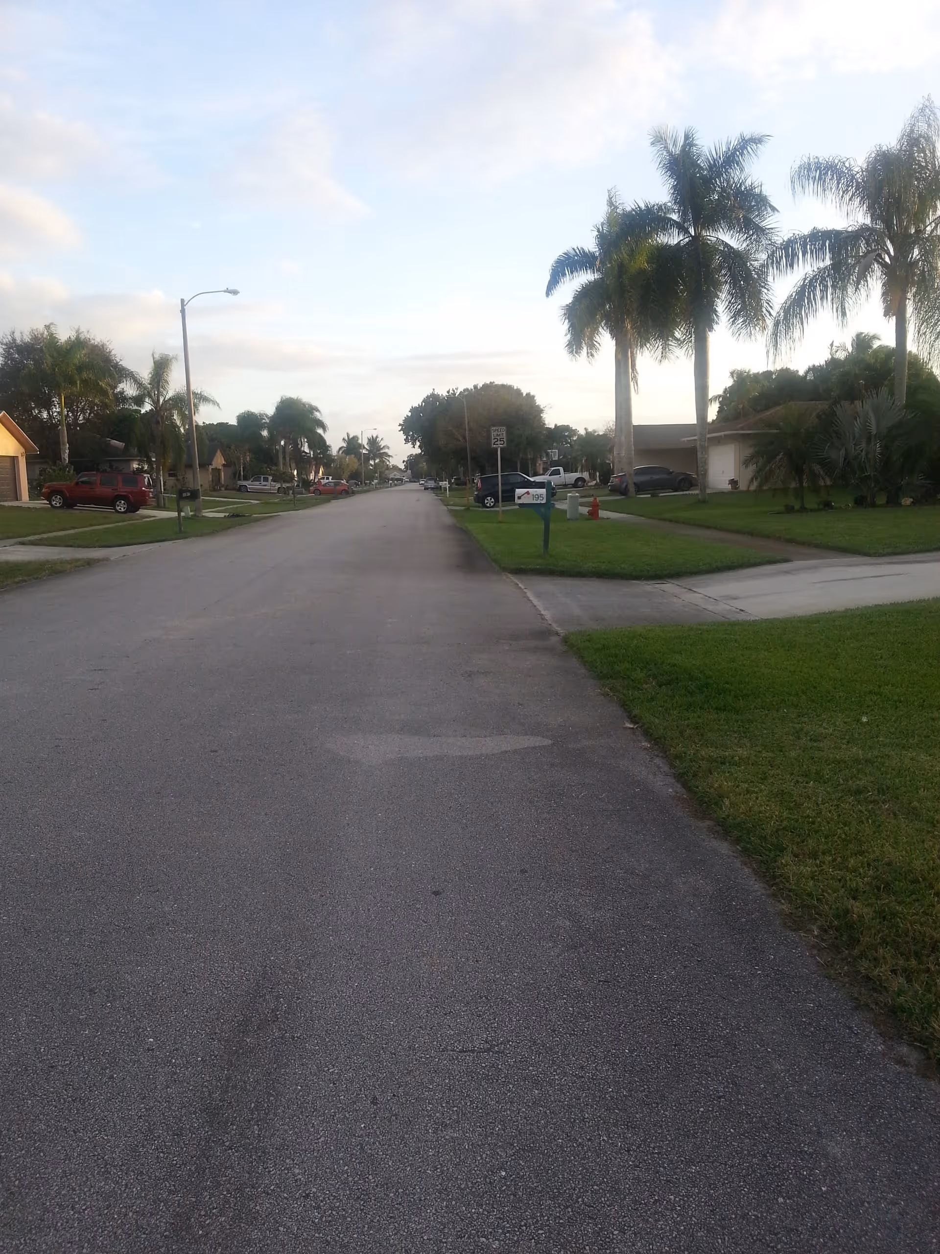 Residential street with palm trees and single-story houses lining a quiet suburban neighborhood under a partly cloudy sky.