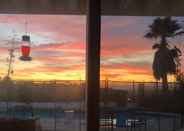 Sunset over a fenced backyard pool and palm tree seen through a glass door with a hanging hummingbird feeder.