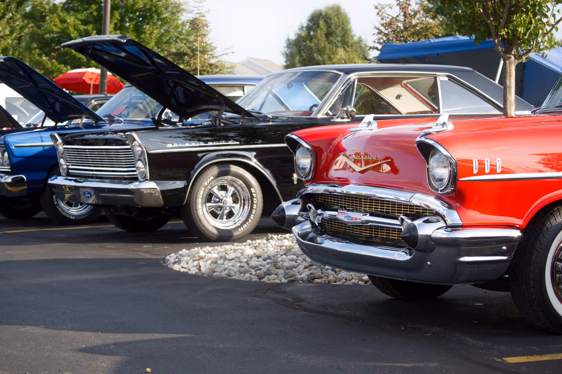 A row of classic vintage cars parked outdoors with their hoods open, including a red Chevrolet and a black Ford Galaxie 500, surrounded by trees and a blue canopy in the background.