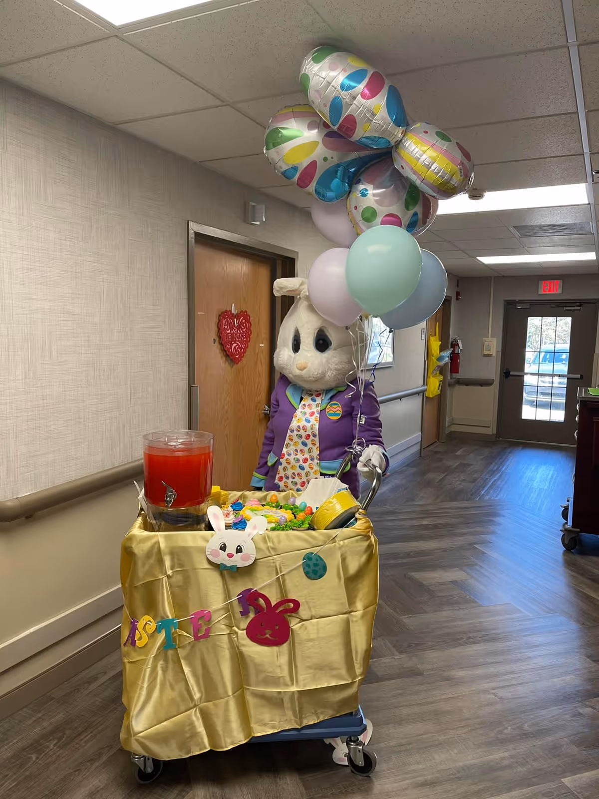 A person in an Easter bunny costume pushes a decorated cart with balloons and treats down a nursing-home hallway.