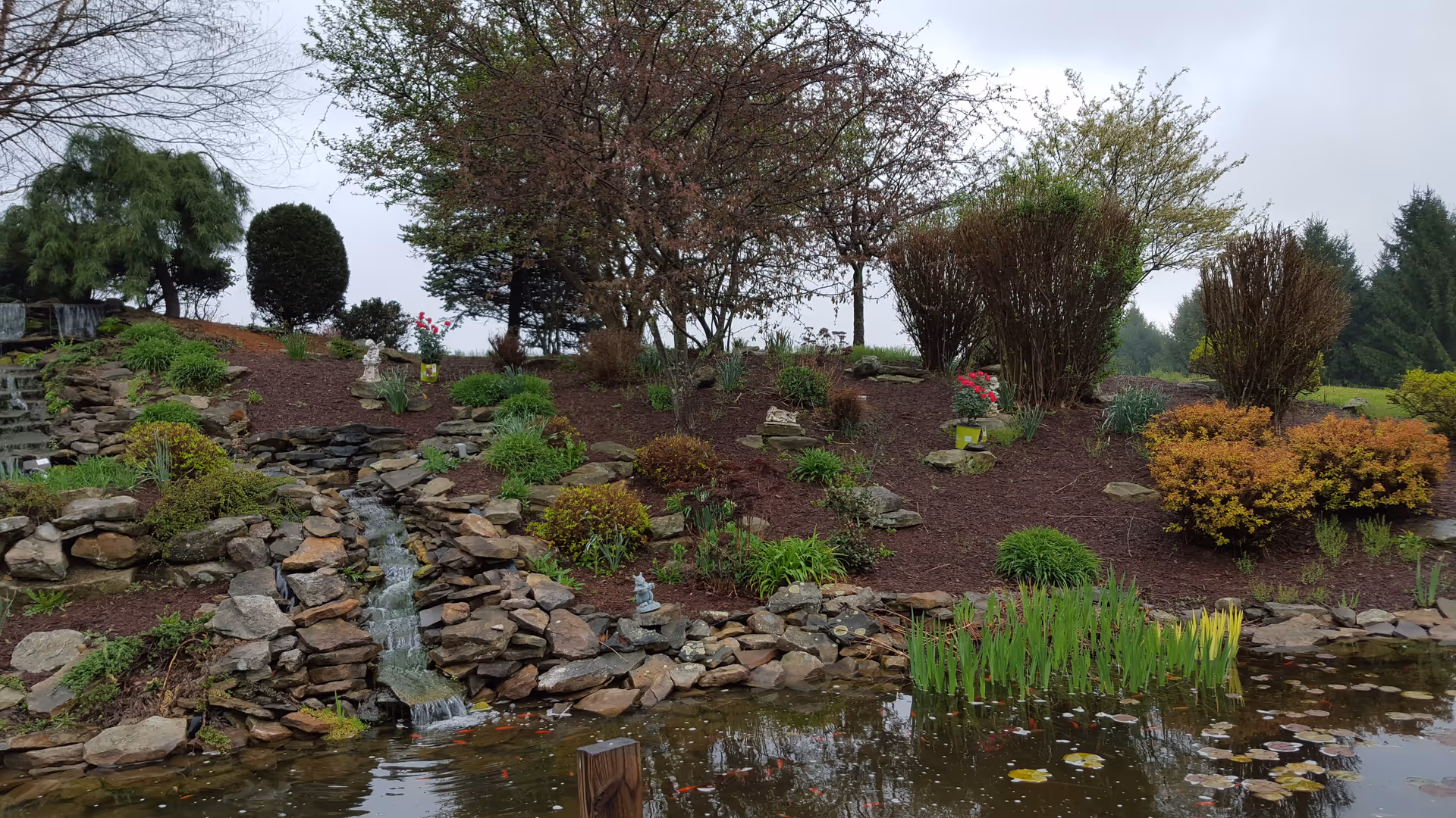 A landscaped garden area with a small cascading waterfall flowing over rocks into a pond filled with lily pads and aquatic plants. The garden has various shrubs, bushes, and trees with some flowers and decorative statues scattered throughout. The sky is overcast.