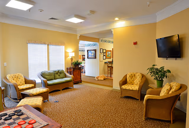 A cozy senior living common area with wicker chairs and a loveseat with yellow patterned cushions, a small table with a potted plant, a wall-mounted TV, and a carpeted floor. There is a window with blinds and a lamp on a wooden side table. In the background, a dog is lying on the carpet near an open doorway leading to another room with framed pictures on the walls.