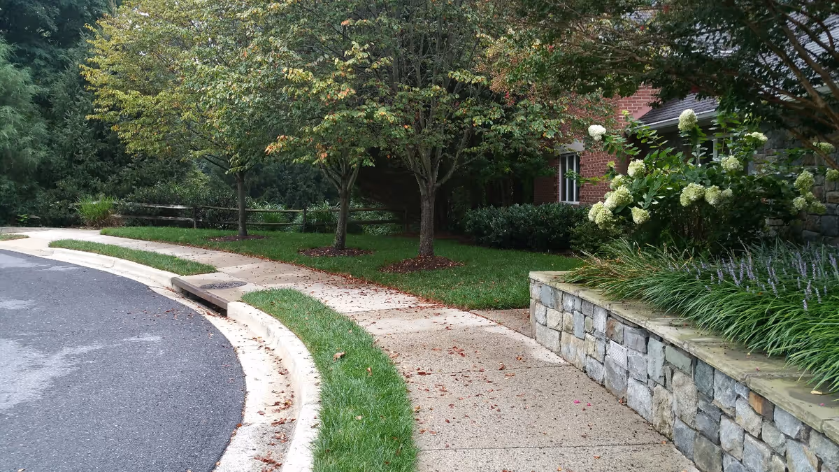 Curved sidewalk and driveway bordered by a stone retaining wall, landscaped trees and shrubs in front of a brick building.