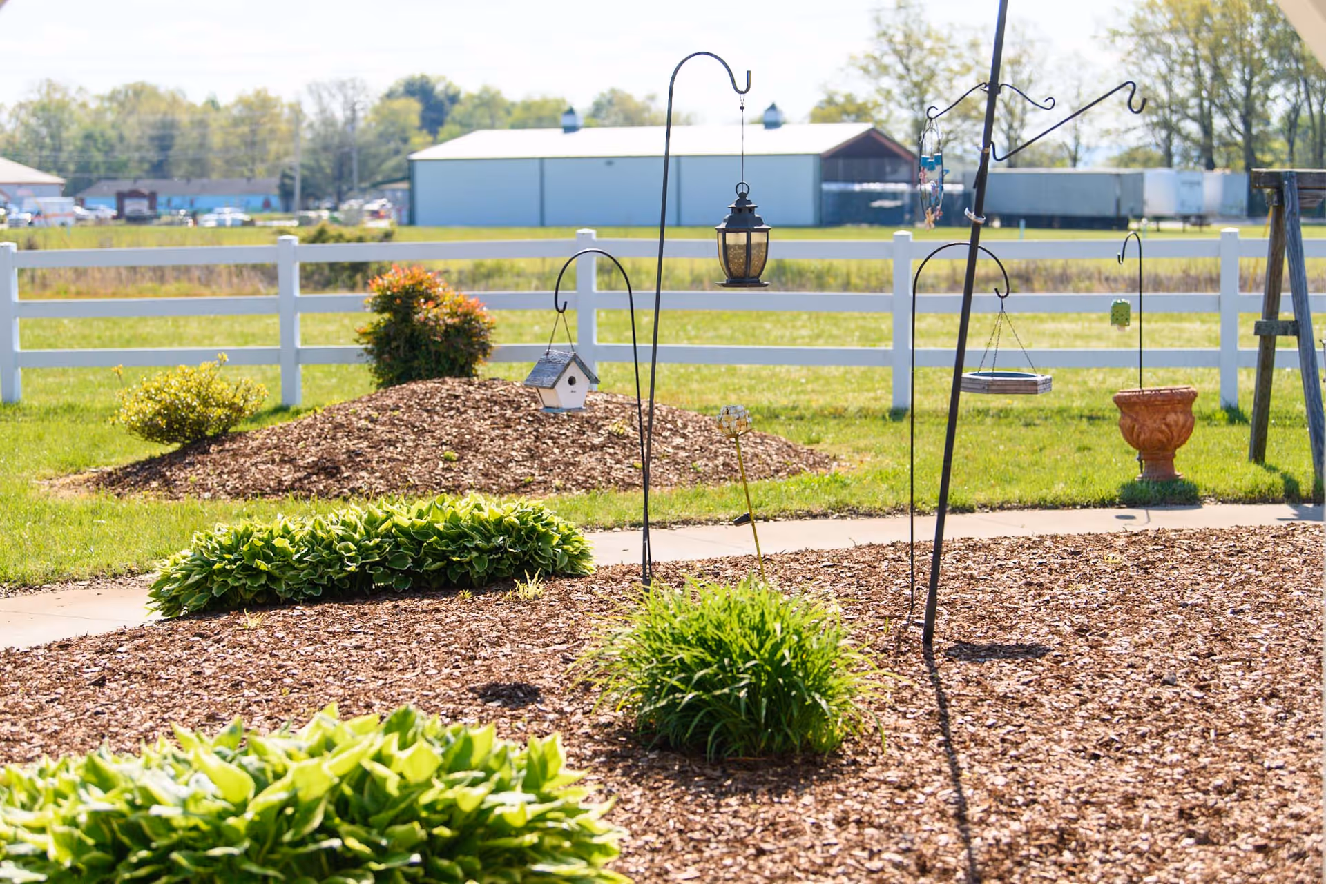 A sunny outdoor garden area with green plants, mulch-covered ground, and several hanging bird feeders and lanterns on metal hooks. A white fence and a large building are visible in the background.