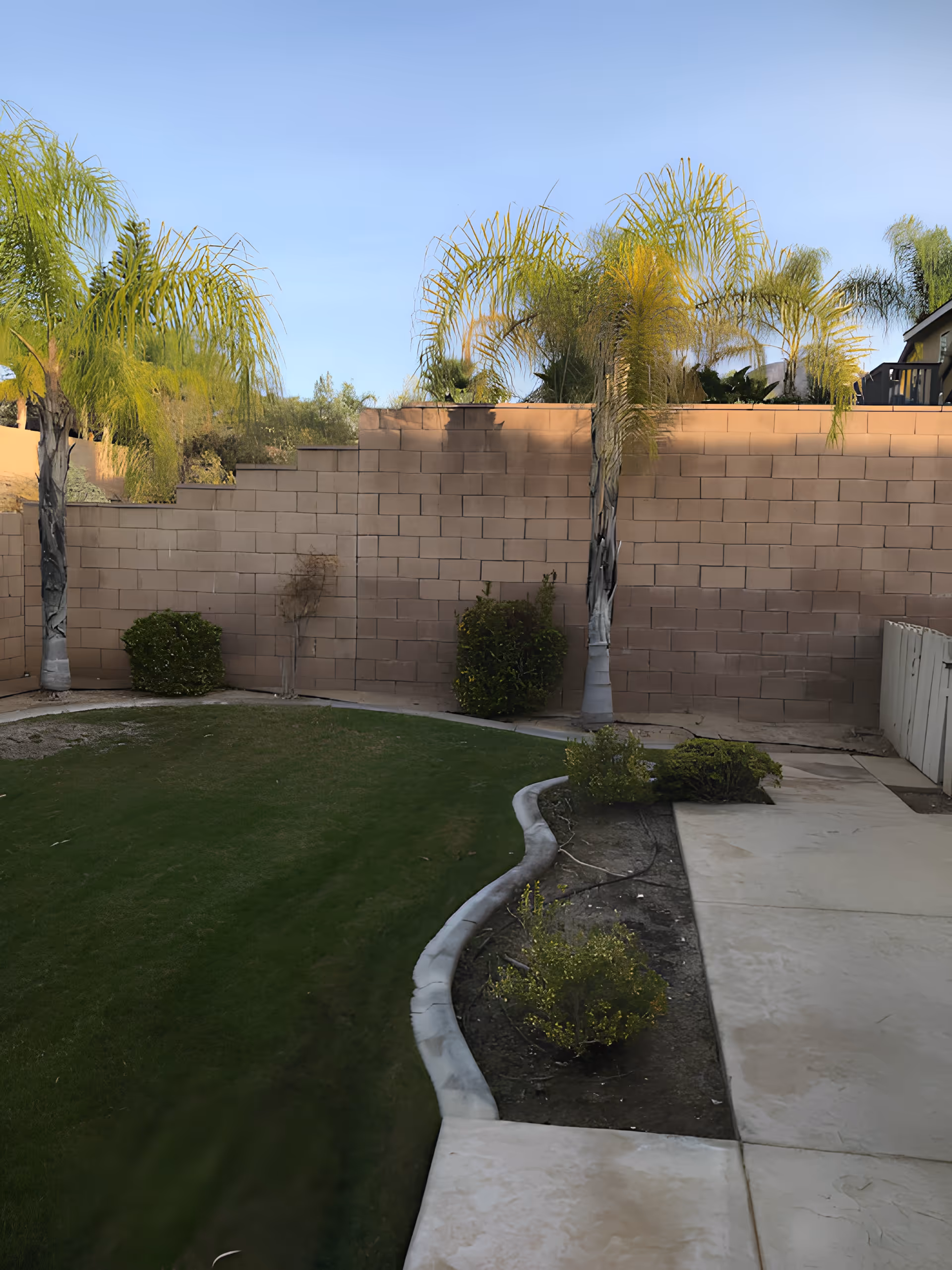 Small backyard with a curved concrete walkway, green lawn, palm trees, and a cinderblock privacy wall.