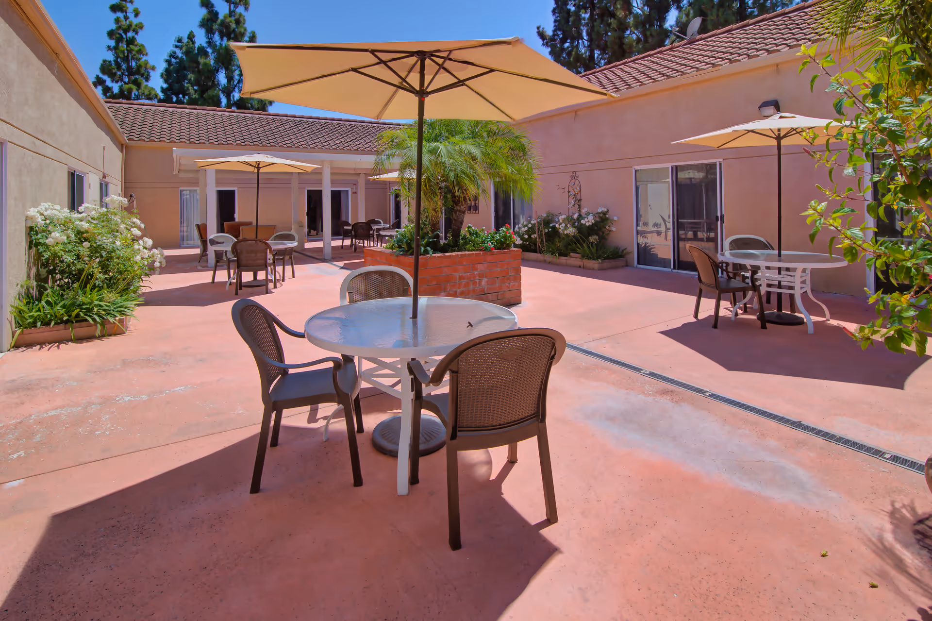 Outdoor courtyard area with several round tables and chairs under large beige umbrellas, surrounded by a building with windows and doors. There are plants and flowers along the edges and a central planter with a palm tree. The sky is clear and blue.