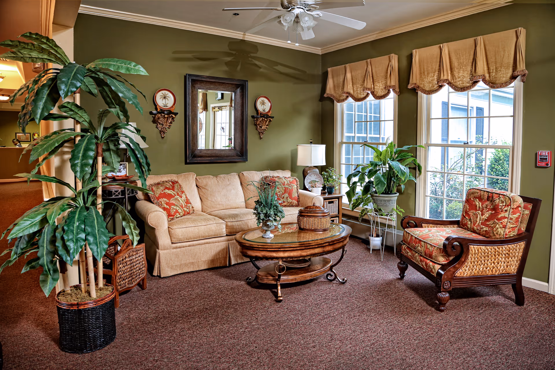 A cozy living room with olive green walls, a beige sofa with patterned cushions, a wooden coffee table with decorative items, a patterned armchair, large windows with valances, several potted plants, a wall mirror, and a ceiling fan with lights.