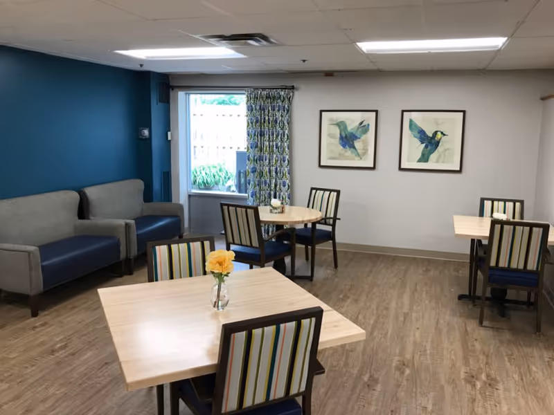 A small dining area with three light wooden tables, each with a vase containing a yellow flower. Four chairs with striped upholstery surround the tables. Against one wall, there are two gray and blue cushioned armchairs. The walls are painted white and blue, with two framed pictures of colorful birds hanging on the white wall. A window with patterned curtains lets in natural light.