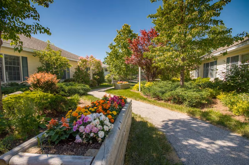 Sunny landscaped courtyard with a winding gravel path, raised wooden flower beds, shrubs and mature trees between single-story residential buildings.