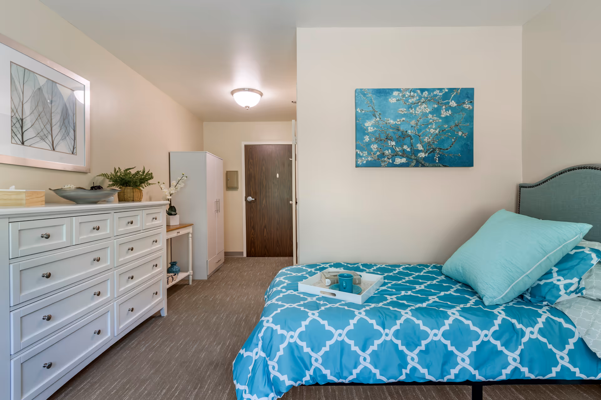 A tidy bedroom with a teal-patterned bed and pillows, a white dresser, wall art, and a door at the back.